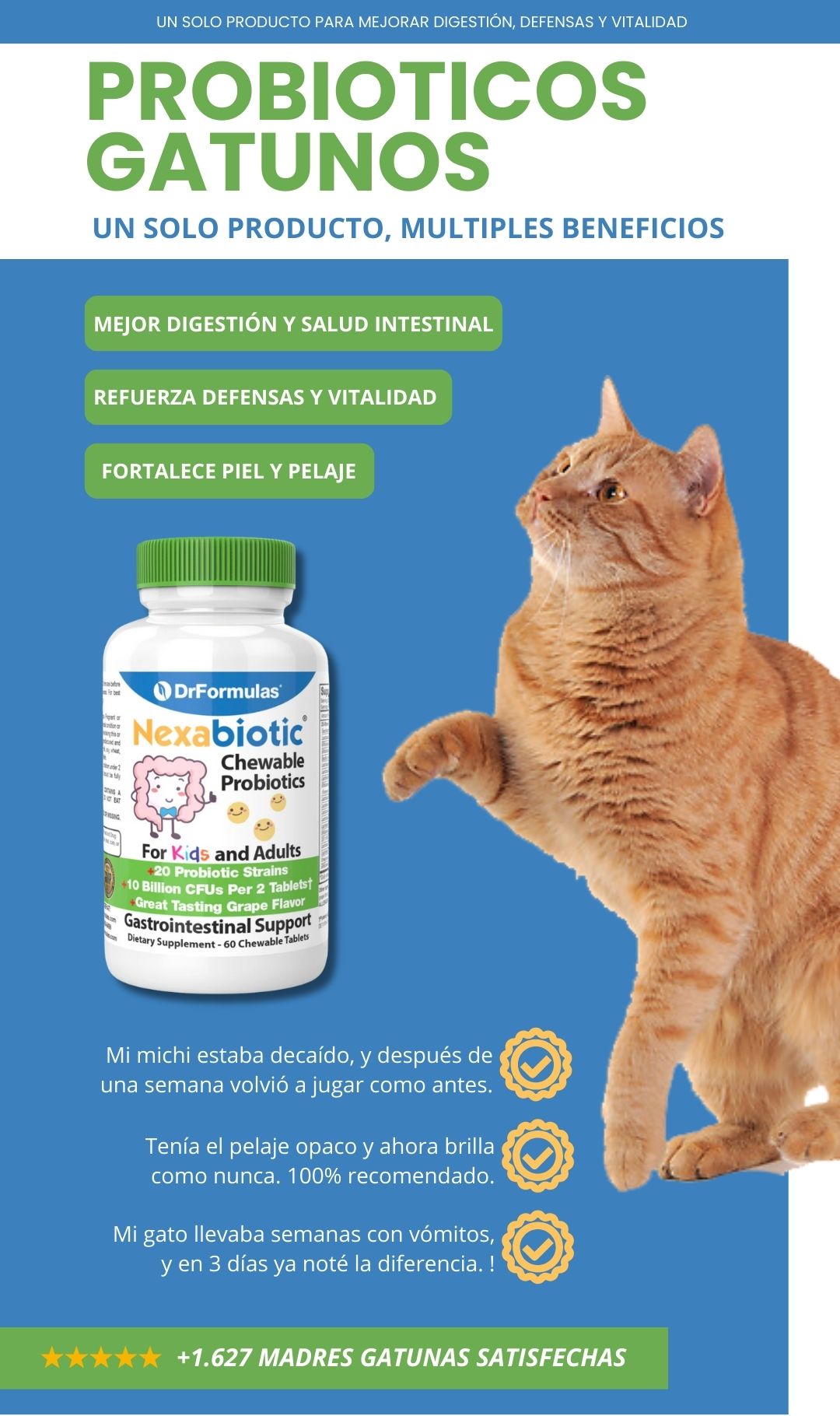 Probioticos para gatos